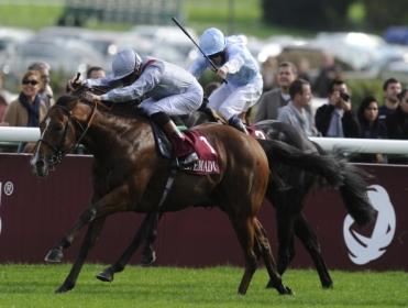 Olympic Glory looks the pick in the Lockinge Stakes on Saturday